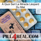 À Quoi Sert Le Miracle Léopard Du Miel 41